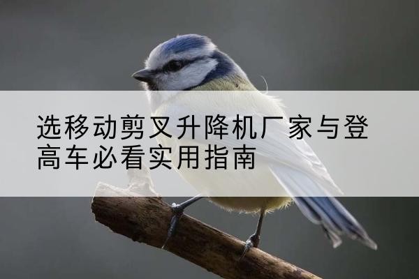 永寿电动升降机厂家-选移动剪叉升降机厂家与登高车必看实用指南