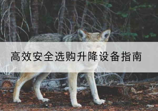 永寿升降货梯厂家推荐-*安全选购升降设备指南