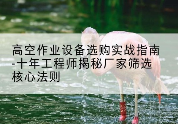 永寿剪叉式升降机厂家-高空作业设备选购实战指南-十年工程师揭秘厂家筛选核心法则